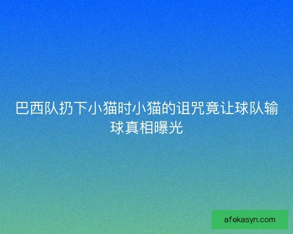 巴西队扔下小猫时小猫的诅咒竟让球队输球真相曝光